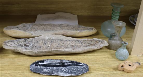 A Northern Brazilian fish fossil and a collection of glass vases, etc